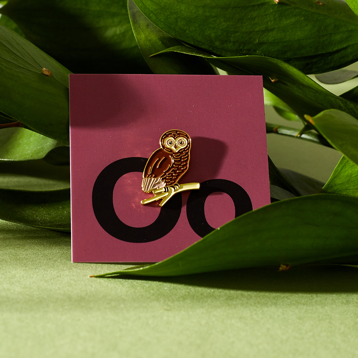 Owl