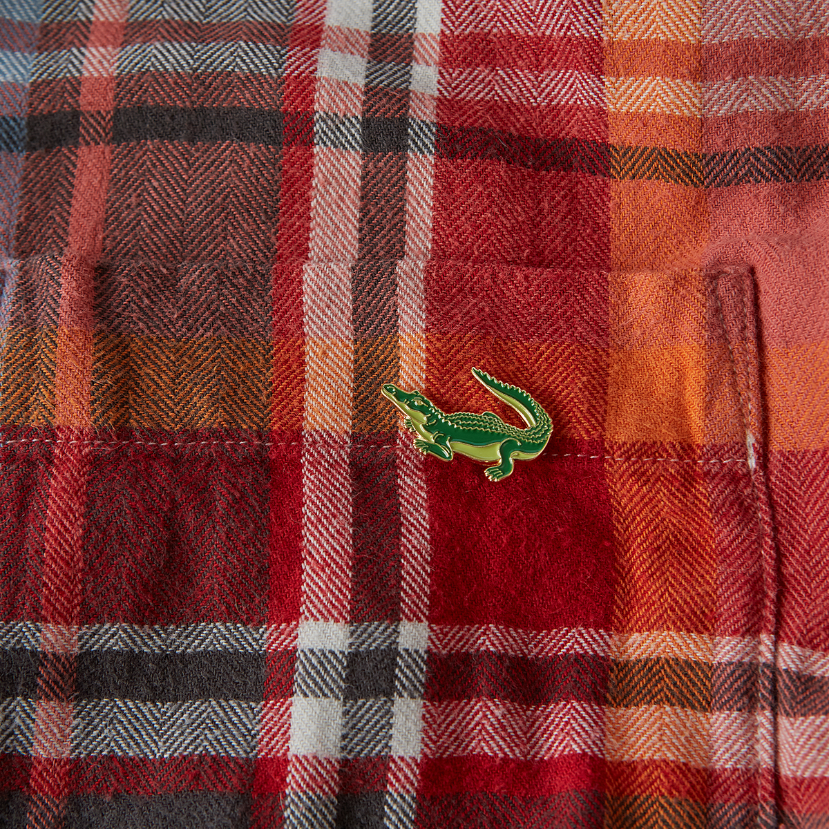 Crocodile