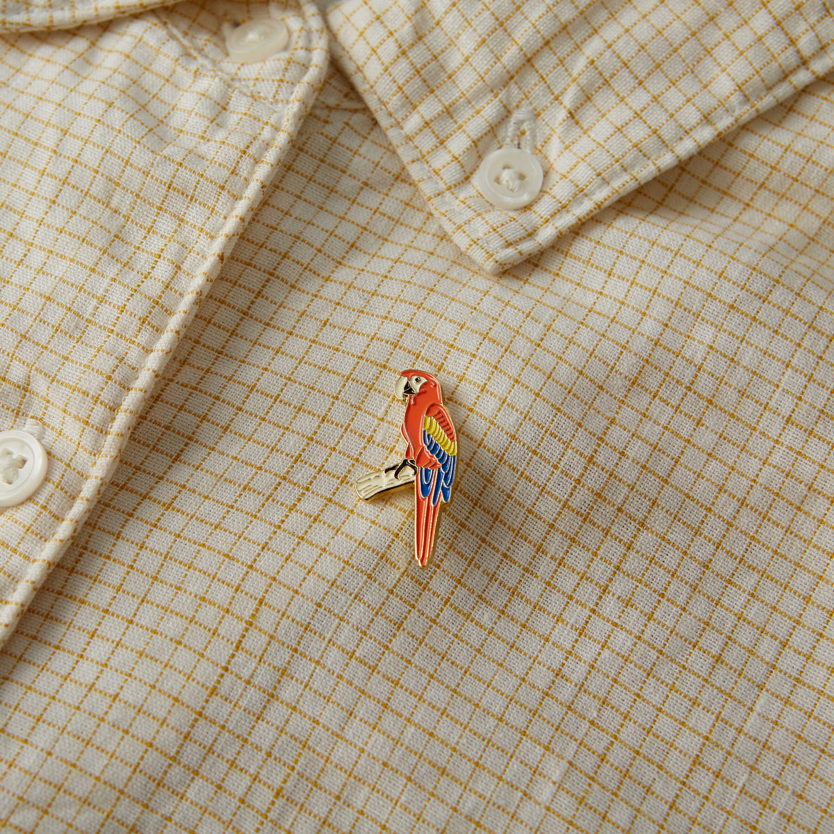 Macaw