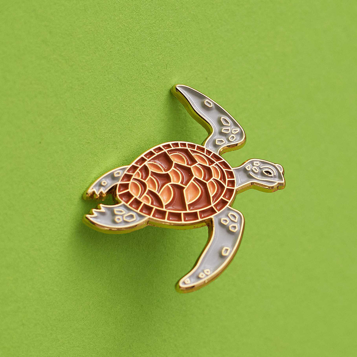 Tortoise