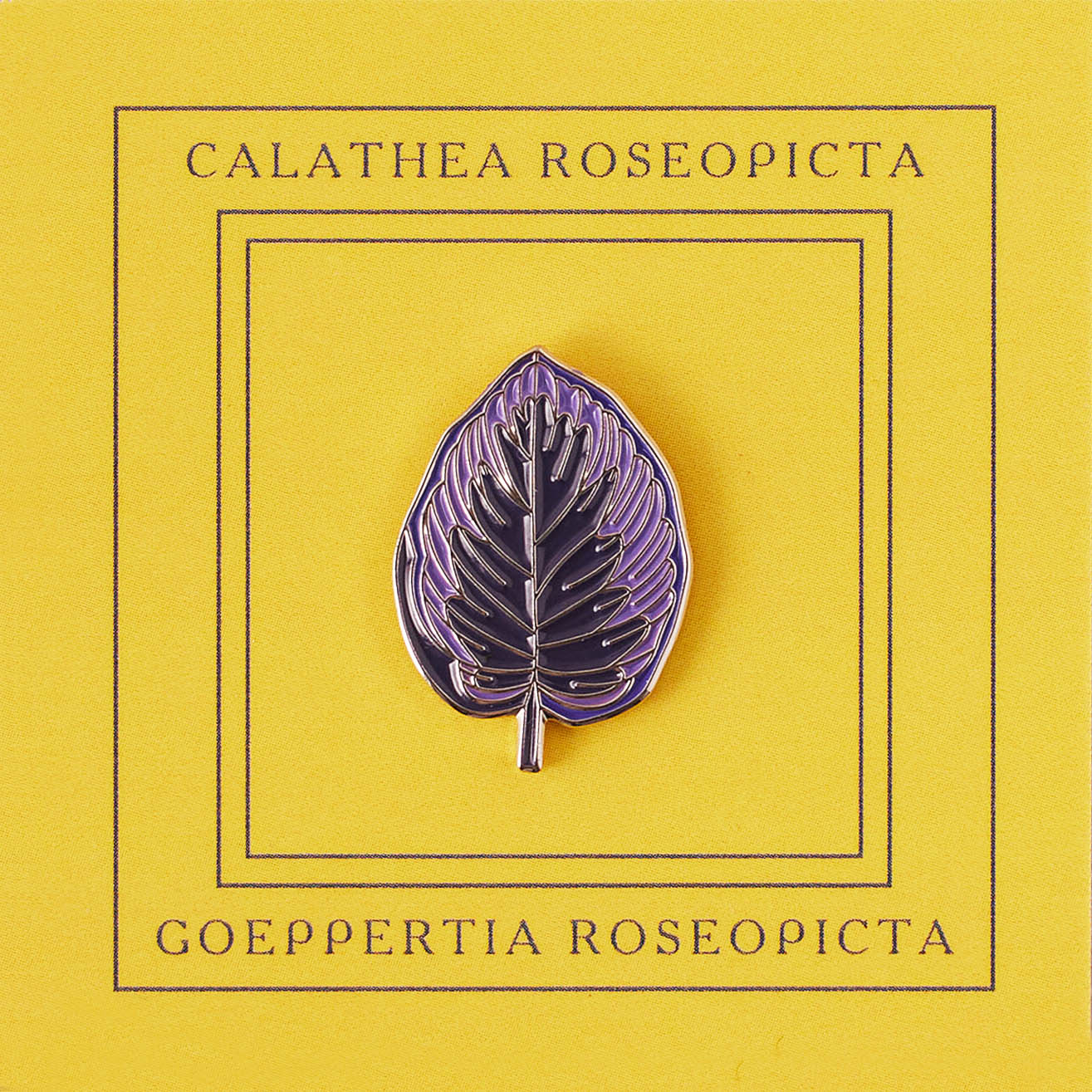 Calathea