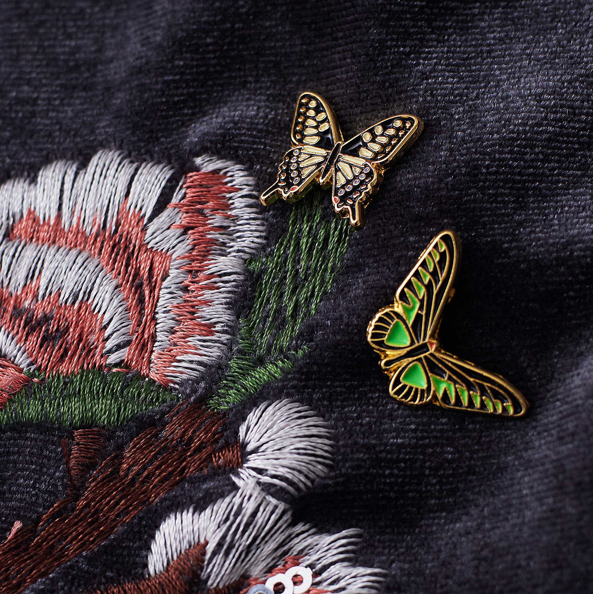 Bird Wing butterfly
