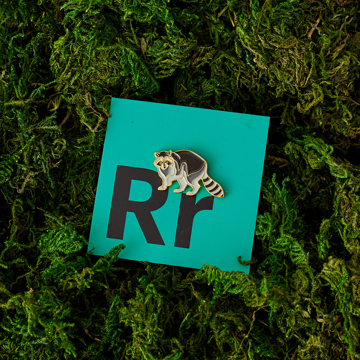 Racoon