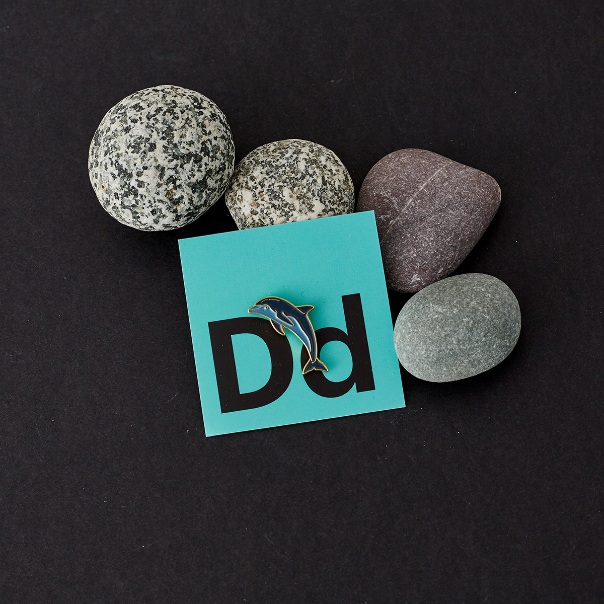 Dolphin