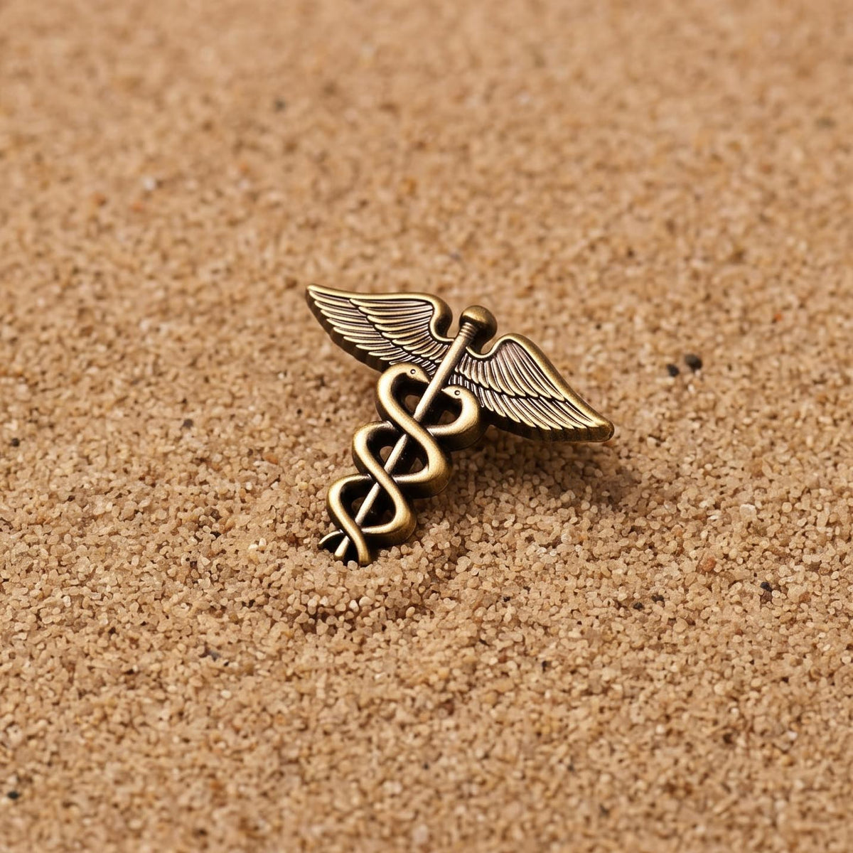 Caduceus Antique Bronze 3D Pin