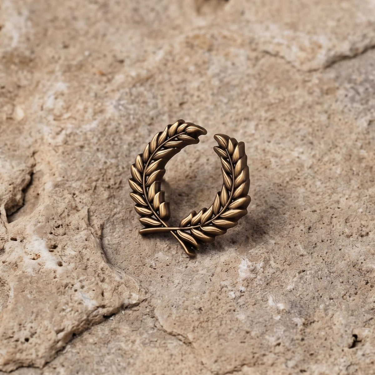 Laurel Wreath Antique Bronze 3D Pin
