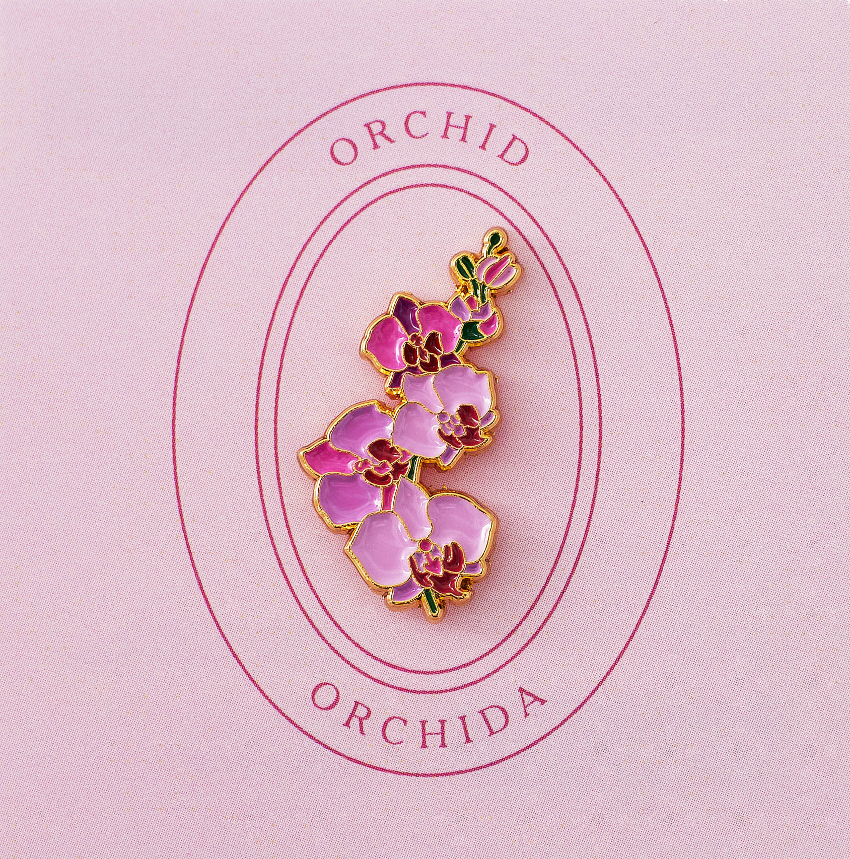 Orchid