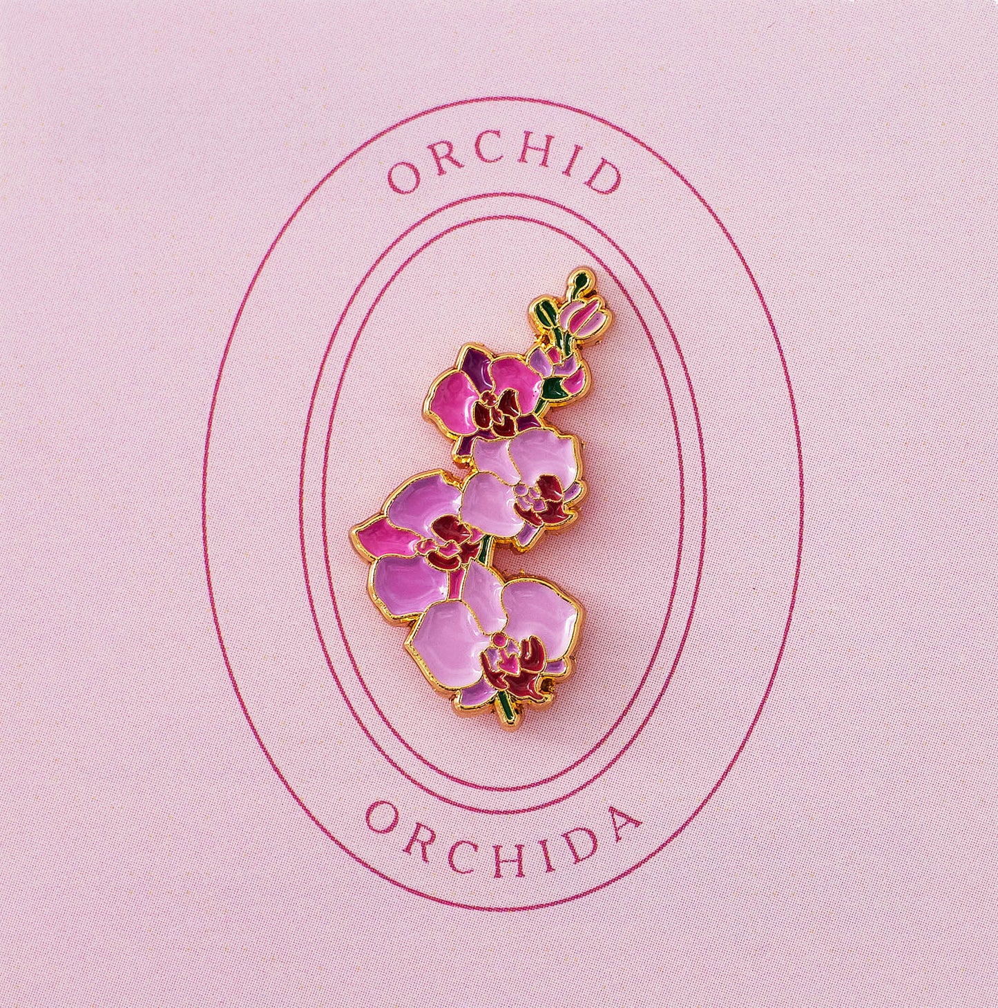 Orchid