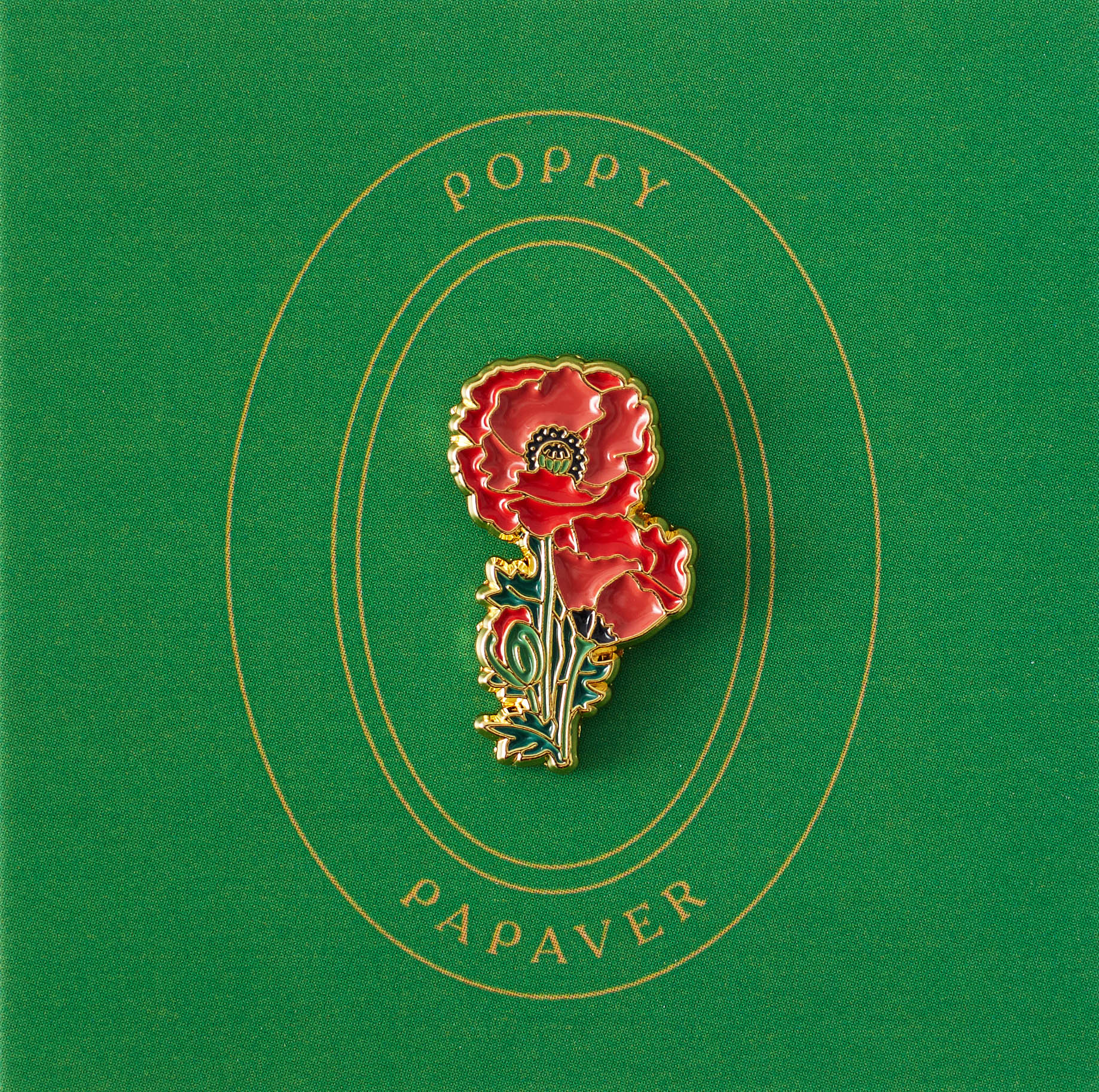 Poppy