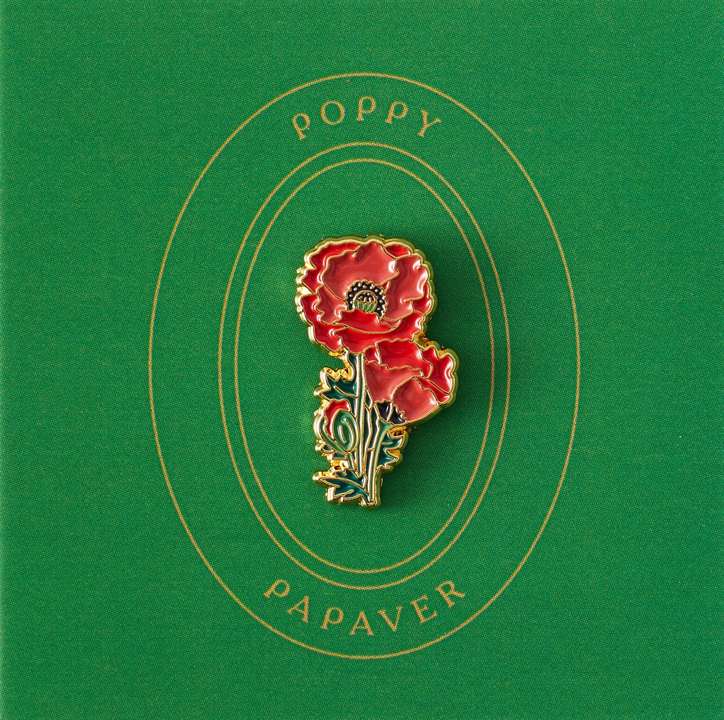 Poppy