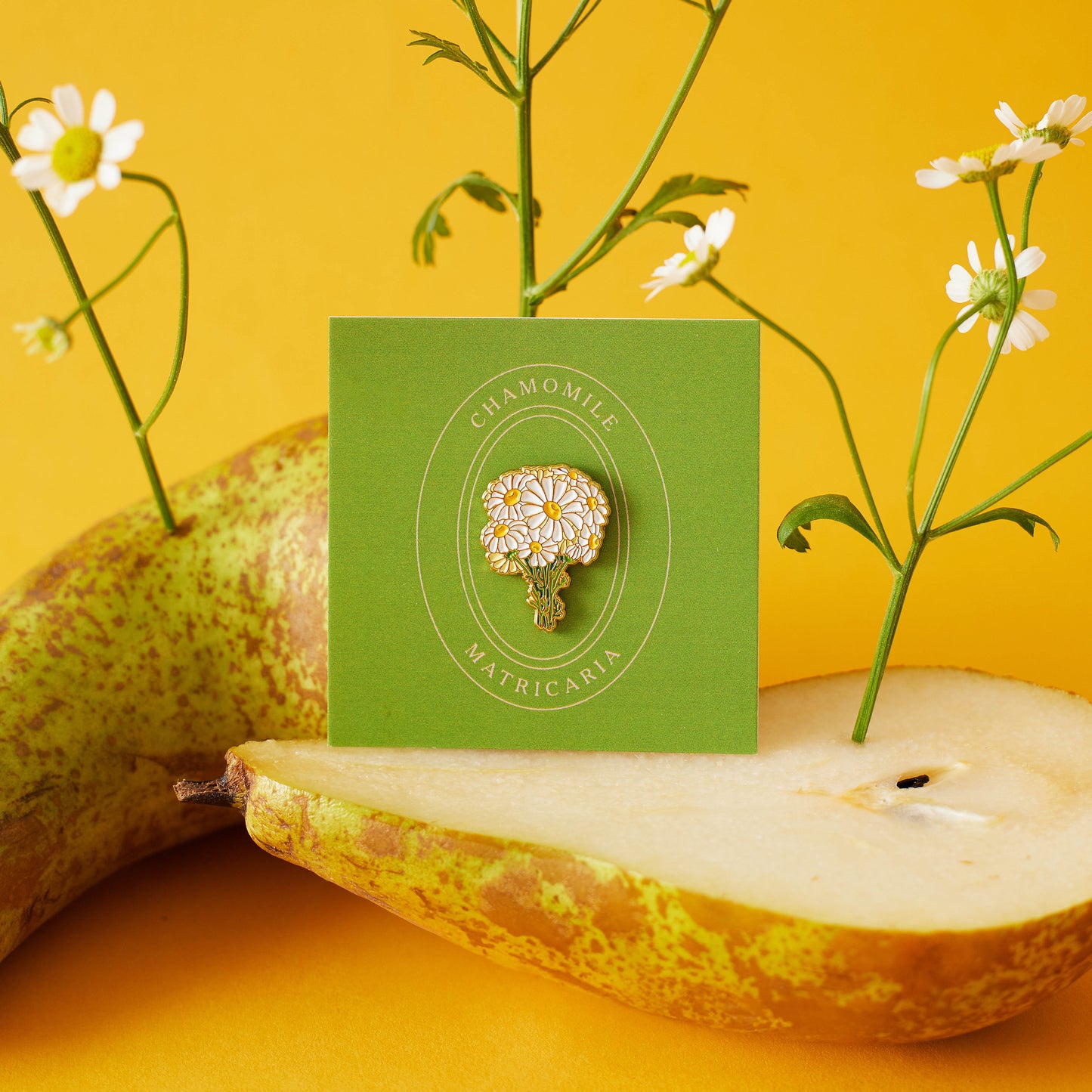 Chamomile