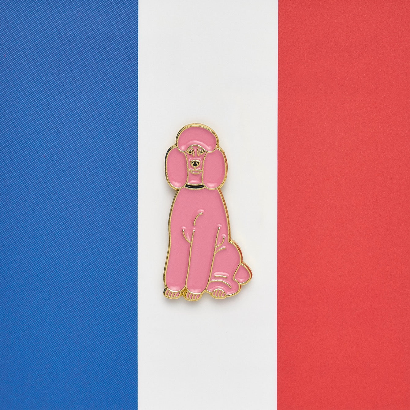 Poodle pink – Pinpinpin.it