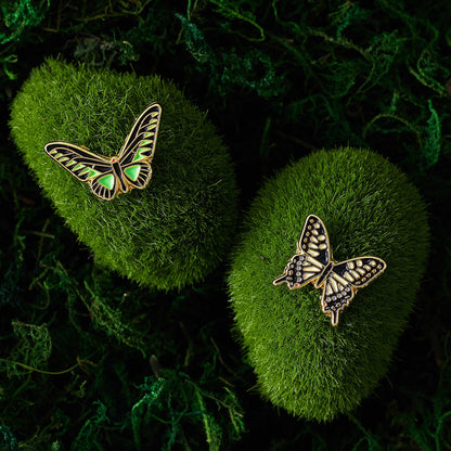 Bird Wing butterfly