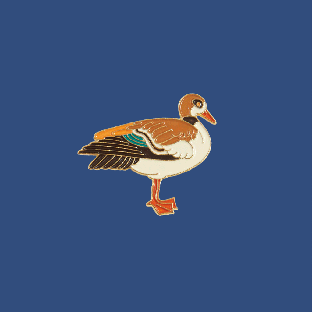 Duck