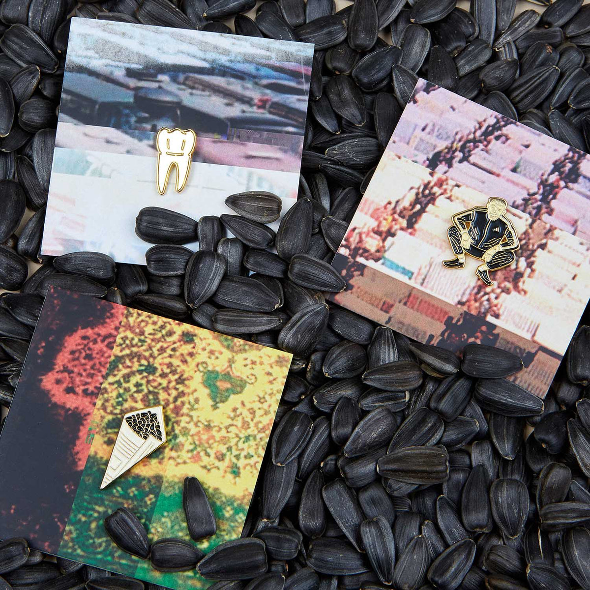 Sunflower Seeds