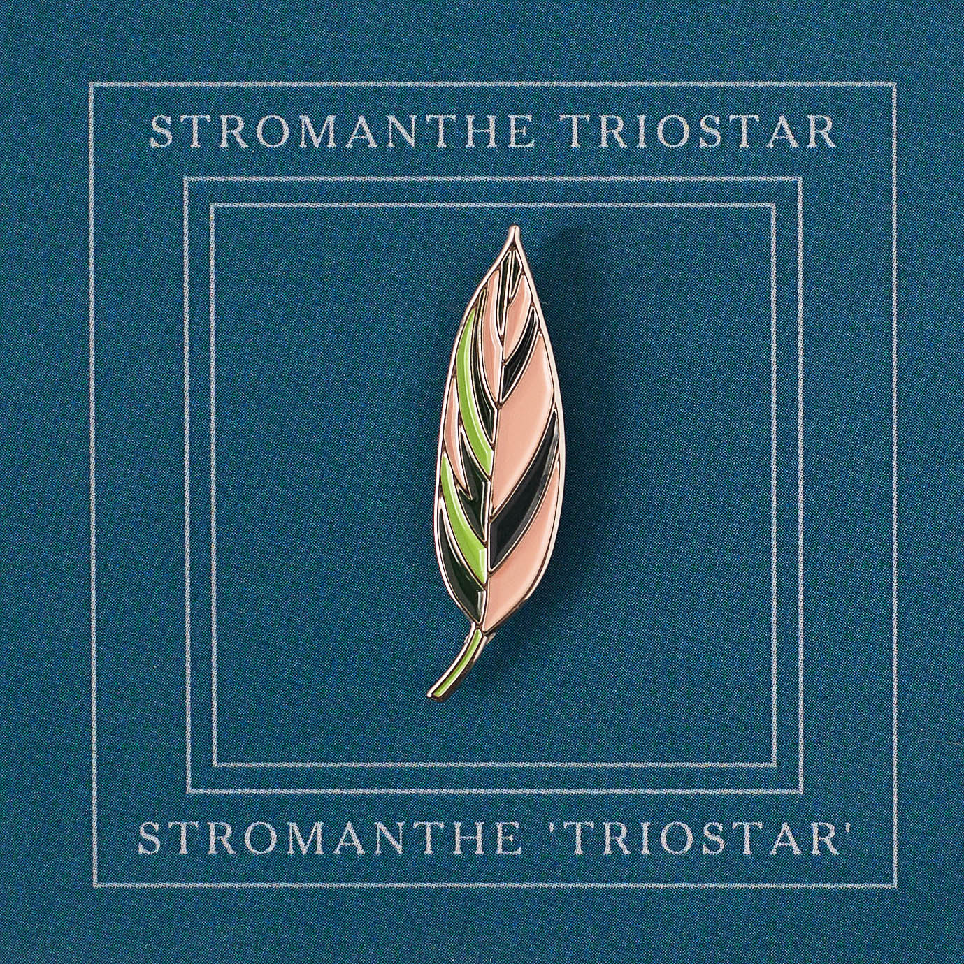 Triostar