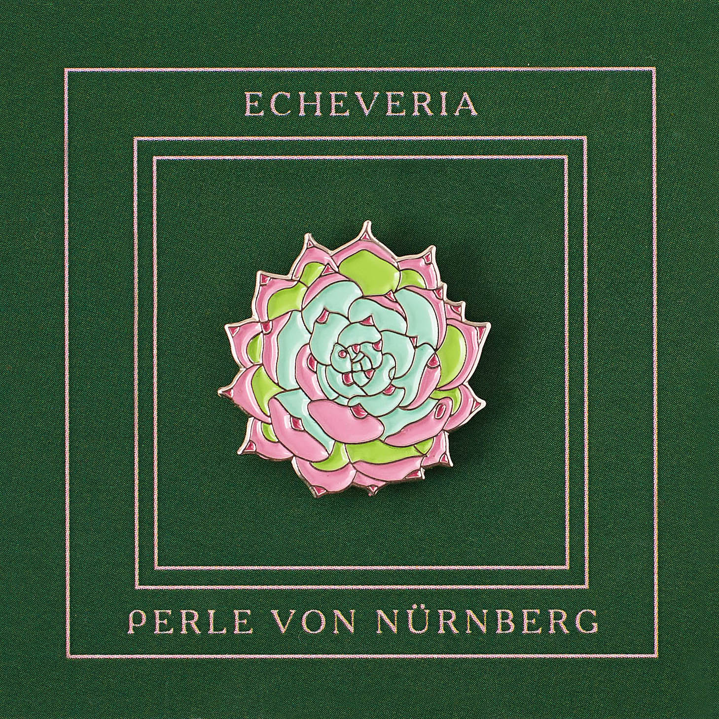 Echeveria