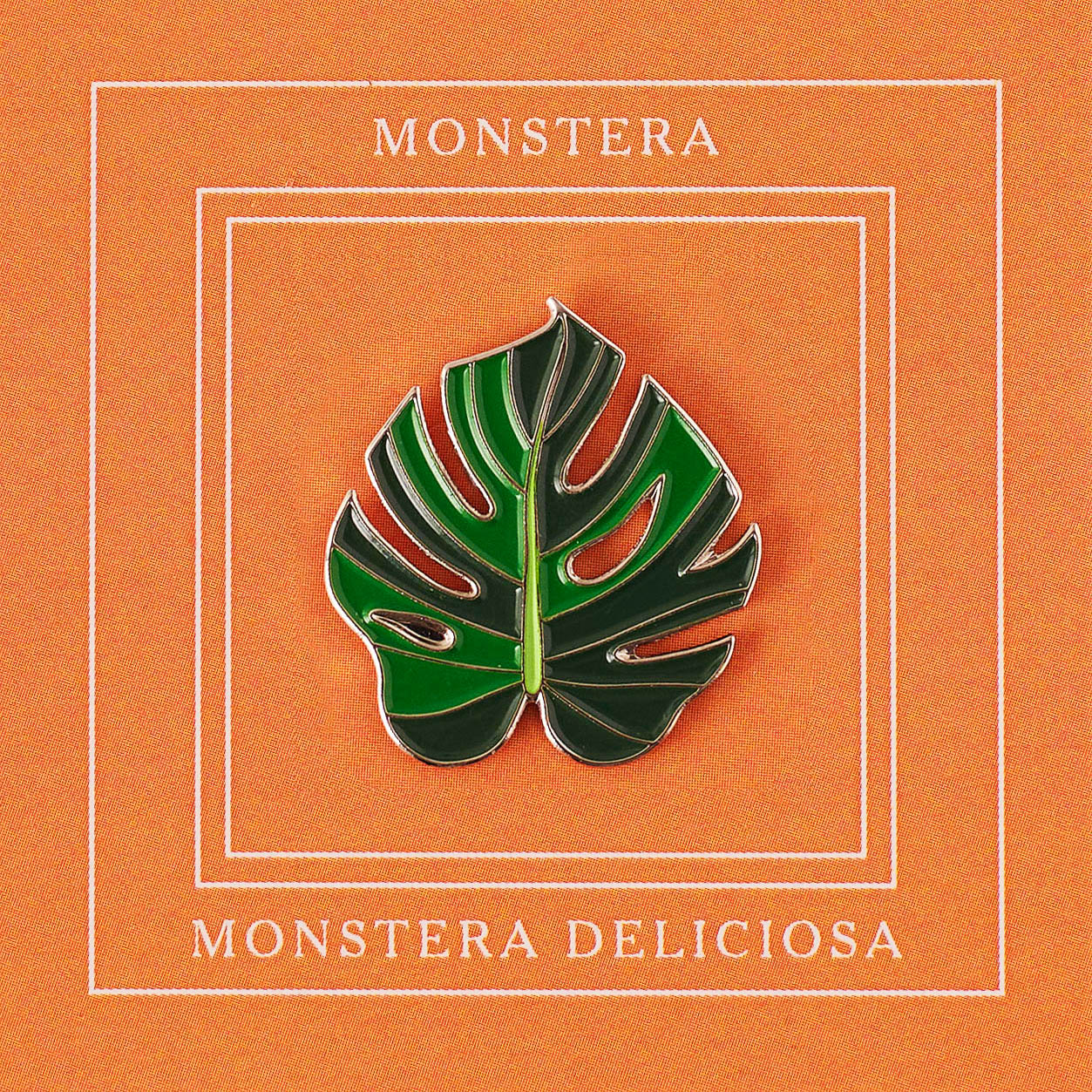 Monstera