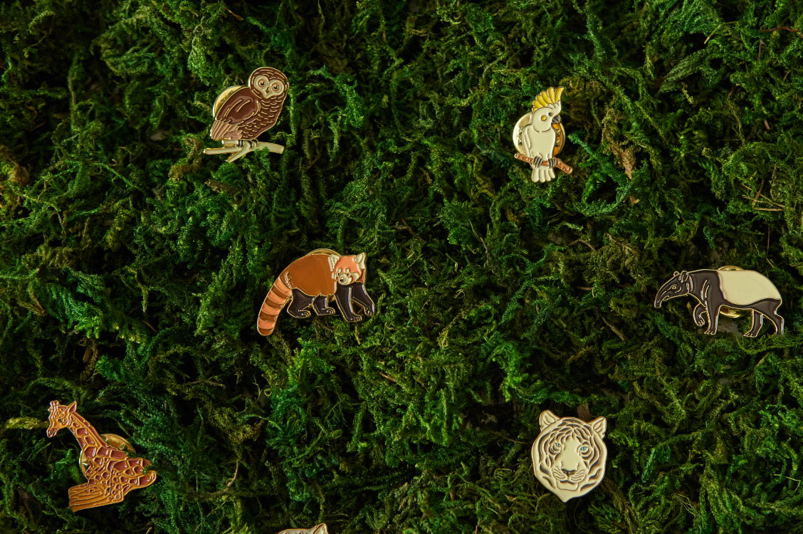 Zoo