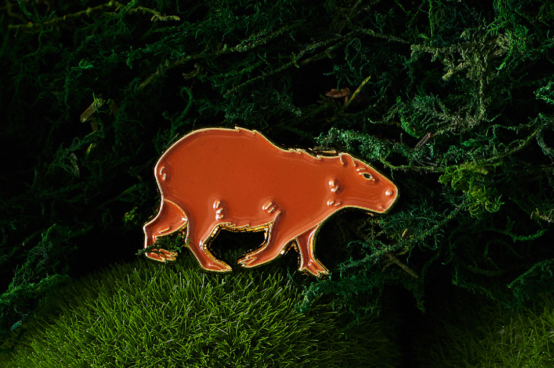 Zoo